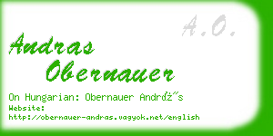 andras obernauer business card